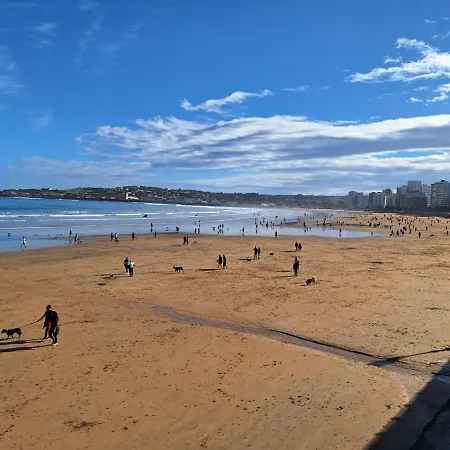 El Arroyu Vut 5585 As *