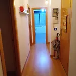 El Arroyu Vut 5585 As